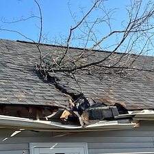 Dont-Be-Stumped-With-A-Claim-Tree-Damaged-Roof-Replaced-In-New-Albany-Indiana-Pro-Restoration-Plus 1